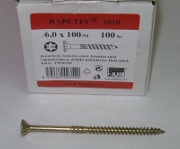 Vrut 6 x 100/54 RAPI-TEC 2010, TORX 30