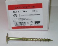 Vrut 8 x 100/50 RAPI-TEC SK, hl. 22 mm, TORX 40