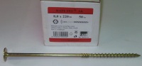 Vrut 8 x 220/80 RAPI-TEC SK, hl. 22 mm, TORX 40